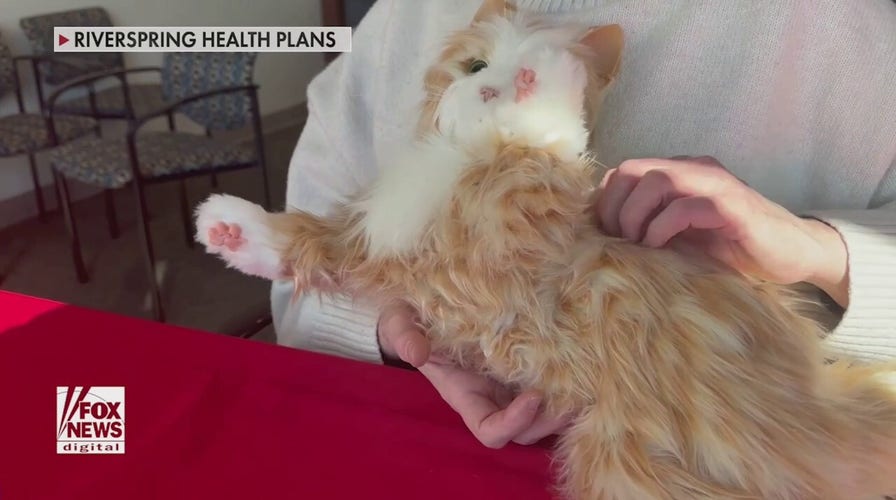 Robot pets are helping seniors fight loneliness