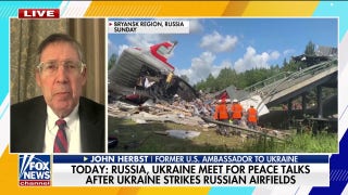Ukraine's drone strike is a 'great strategic benefit' to the US, John Herbst says - Fox News