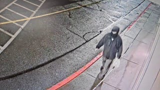 Police searching for man accused of Tesla attack in Washington - Fox News