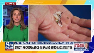 Surge in brain microplastics found in new study  - Fox News