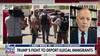 GOP lawmaker calls out ‘outrageous’ characterizations of Trump’s migrant deportations - Fox News