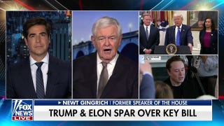 Newt Gingrich: This is the 'soap opera' phase of American politics - Fox News
