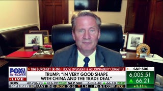 Republicans don't have the guts to codify DOGE cuts: Rep. Tim Burchett - Fox Business Video