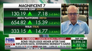 Magnificent Seven are 'amazing stocks' that survived volatility, expert says - Fox Business Video
