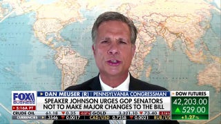 US economy now has a 'pro-growth, common sense' outlook: Rep. Dan Meuser - Fox Business Video