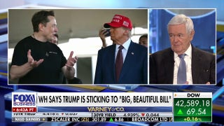 Gingrich says 'very few' lawmakers will take Musk seriously over 'big, beautiful bill' critique - Fox Business Video