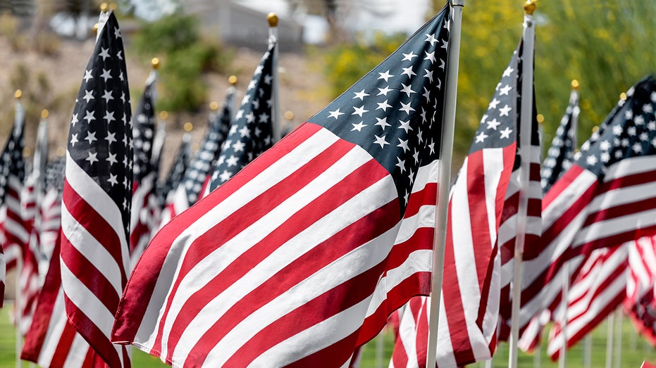 American flags in a line