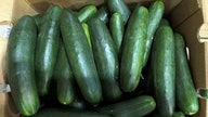 Cucumbers recalled as more than 2 dozen people sickened in salmonella outbreak