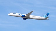 United Airlines plane returns to Denver airport after 'possible wildlife' strike