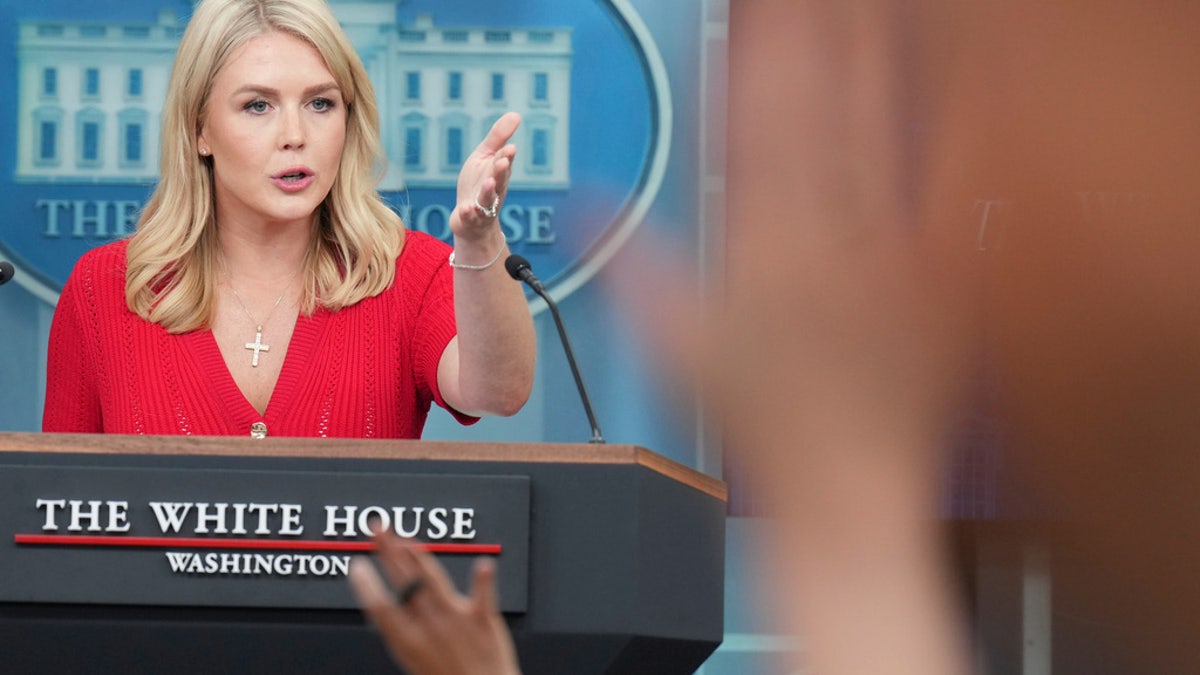 Karoline Leavitt takes questions in the Briefing Room.
